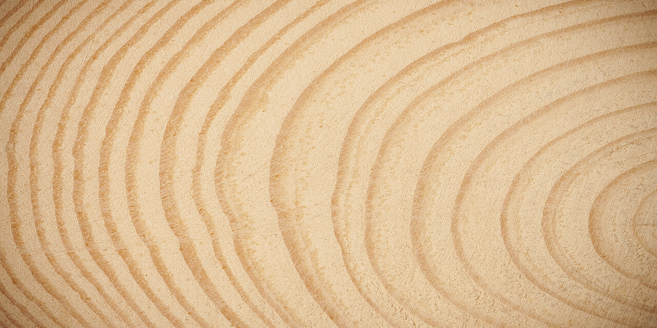 Jahresringe Holz